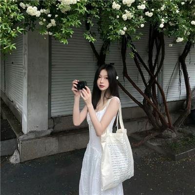 富贵吉娃娃